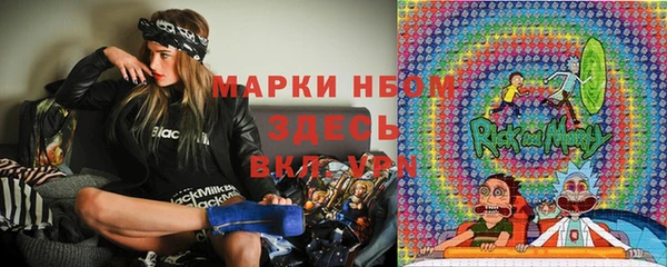 стаф Алзамай