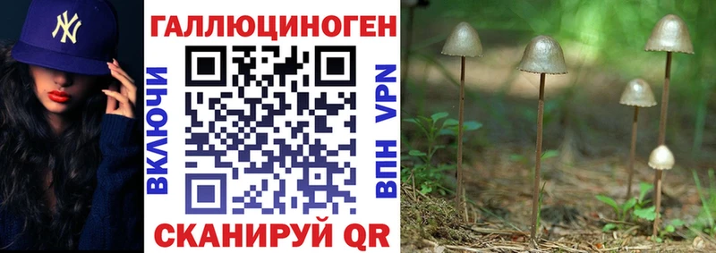 Псилоцибиновые грибы Magic Shrooms  ОМГ ОМГ как войти  Калининск 