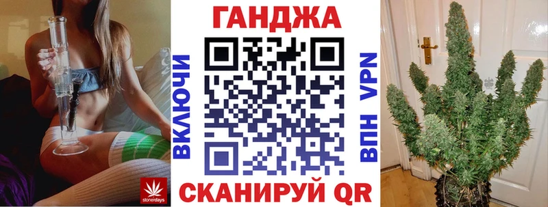 Бошки Шишки план Калининск